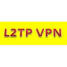 L2TP VPN Toegang per jaar