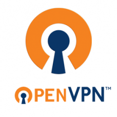 OpenVPN VPN Toegang per jaar